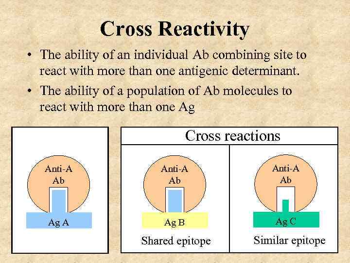 Cross Reactivity • The ability of an individual Ab combining site to react with