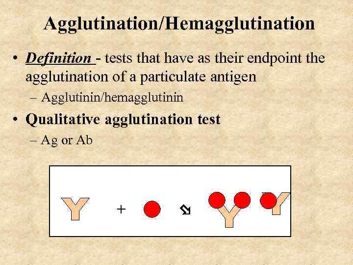 Agglutination/Hemagglutination • Definition - tests that have as their endpoint the agglutination of a