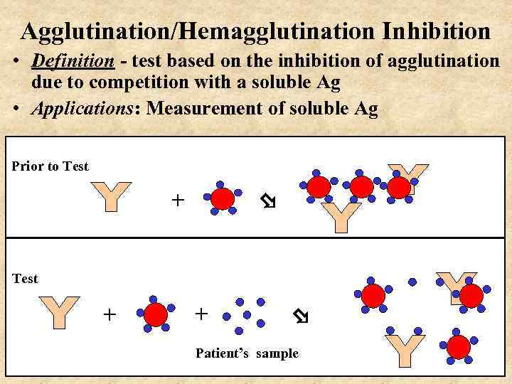 Agglutination/Hemagglutination Inhibition • Definition - test based on the inhibition of agglutination due to