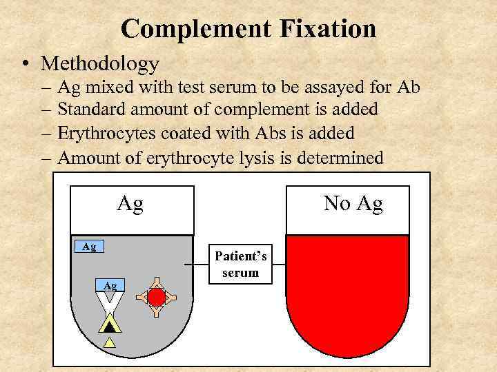 Complement Fixation • Methodology – Ag mixed with test serum to be assayed for