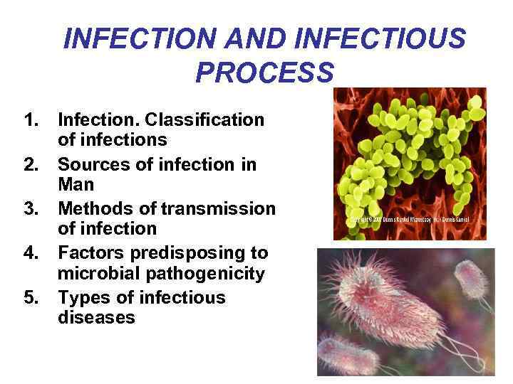 INFECTION AND INFECTIOUS PROCESS 1. Infection. Classification of infections 2. Sources of infection in