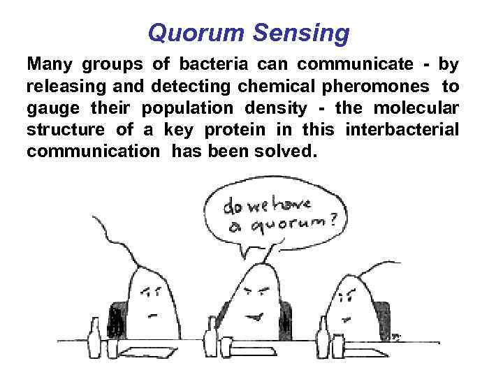 Quorum Sensing Many groups of bacteria can communicate - by releasing and detecting chemical