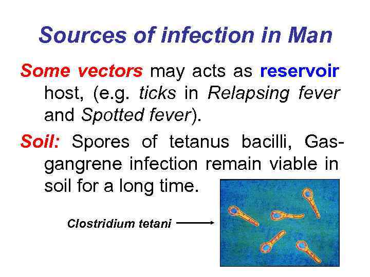 Sources of infection in Man Some vectors may acts as reservoir host, (e. g.