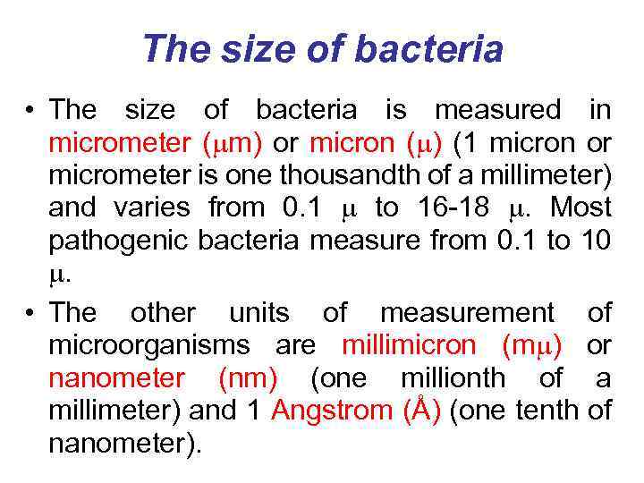 The size of bacteria • The size of bacteria is measured in micrometer (