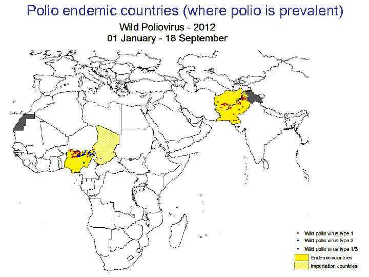 Polio endemic countries (where polio is prevalent) 