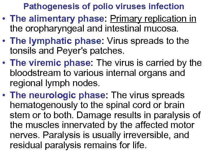 Pathogenesis of polio viruses infection • The alimentary phase: Primary replication in the oropharyngeal