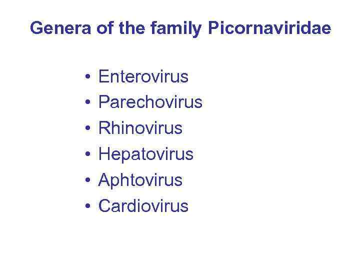 Genera of the family Picornaviridae • • • Enterovirus Parechovirus Rhinovirus Hepatovirus Aphtovirus Cardiovirus