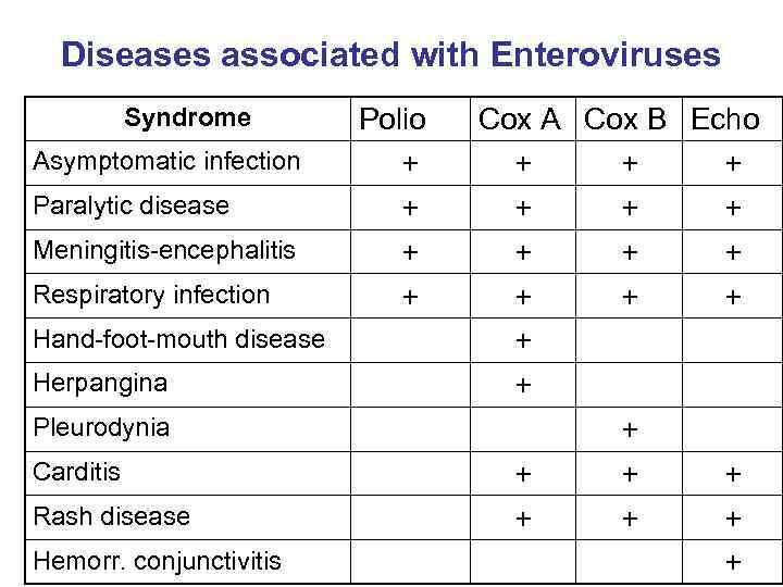 Diseases associated with Enteroviruses Syndrome Asymptomatic infection Paralytic disease Meningitis-encephalitis Respiratory infection Hand-foot-mouth disease