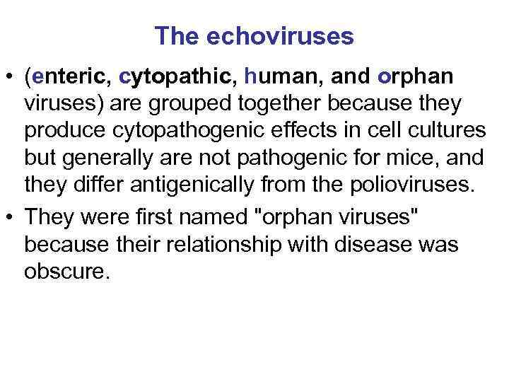 The echoviruses • (enteric, cytopathic, human, and orphan viruses) are grouped together because they