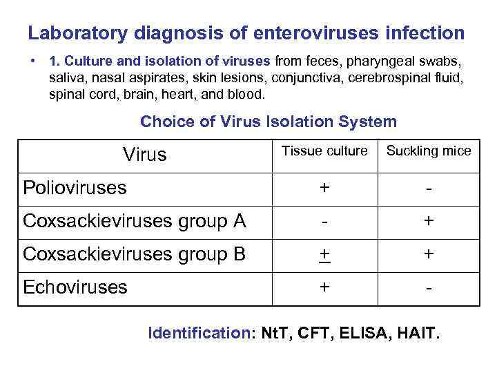 Laboratory diagnosis of enteroviruses infection • 1. Culture and isolation of viruses from feces,