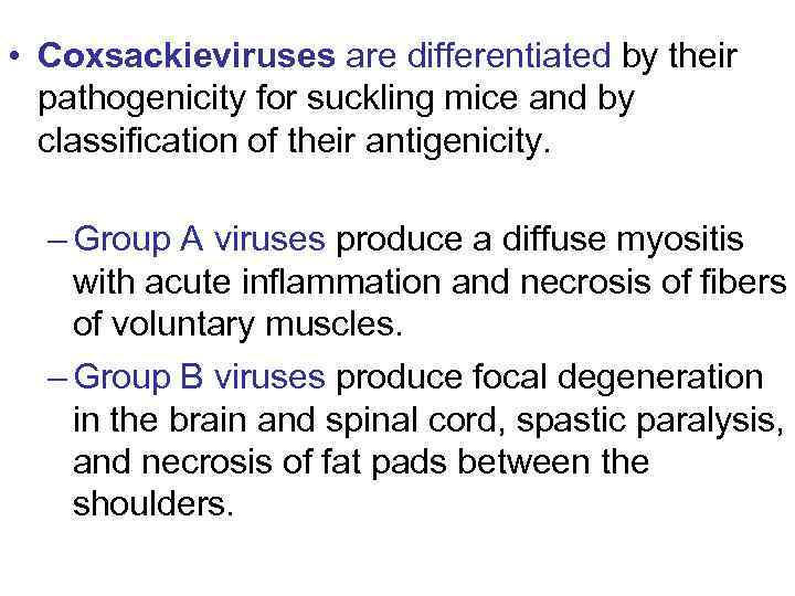  • Coxsackieviruses are differentiated by their pathogenicity for suckling mice and by classification