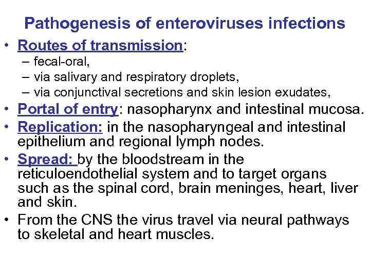 Pathogenesis of enteroviruses infections • Routes of transmission: – fecal-oral, – via salivary and