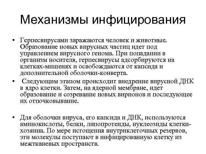 Механизмы инфицирования • Герпесвирусами заражаются человек и животные. Образование новых вирусных частиц идет под