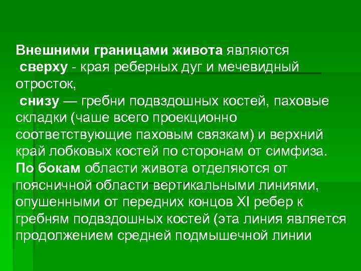 Внешними границами живота являются сверху края реберных дуг и мечевидный отросток, снизу — гребни