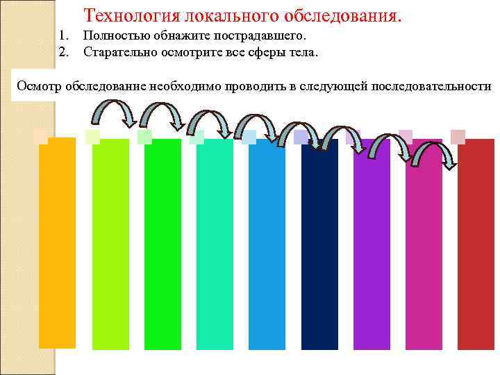 верхние и нижние конечности половые органы таз брюшную полость грудную клетку ключицы и лопатки