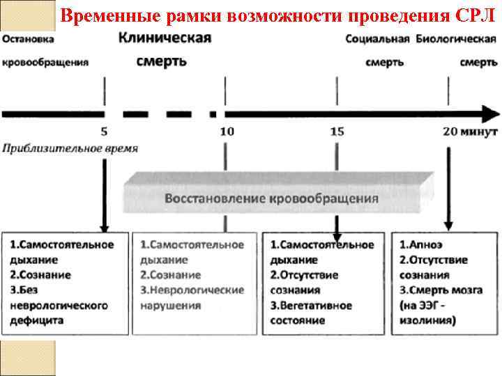 Временные рамки возможности проведения СРЛ 