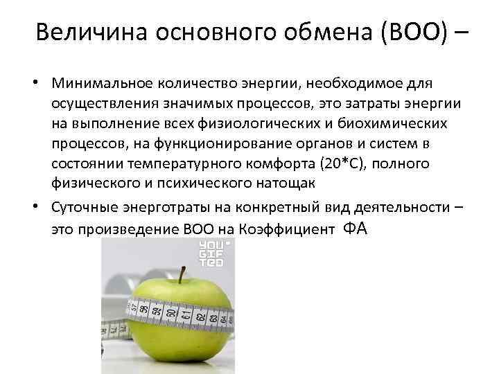 Величина основного обмена (ВОО) – • Минимальное количество энергии, необходимое для осуществления значимых процессов,