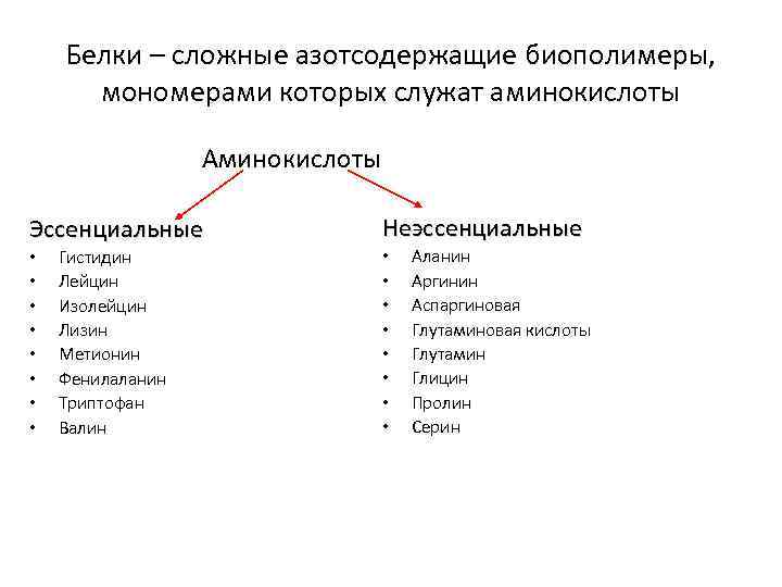 Белки – сложные азотсодержащие биополимеры, мономерами которых служат аминокислоты Аминокислоты Эссенциальные • • Гистидин