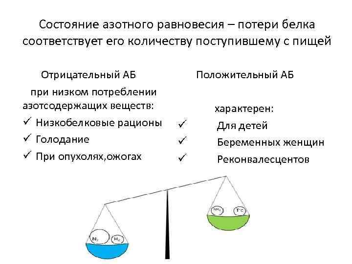 Состояние азотного равновесия – потери белка соответствует его количеству поступившему с пищей Отрицательный АБ