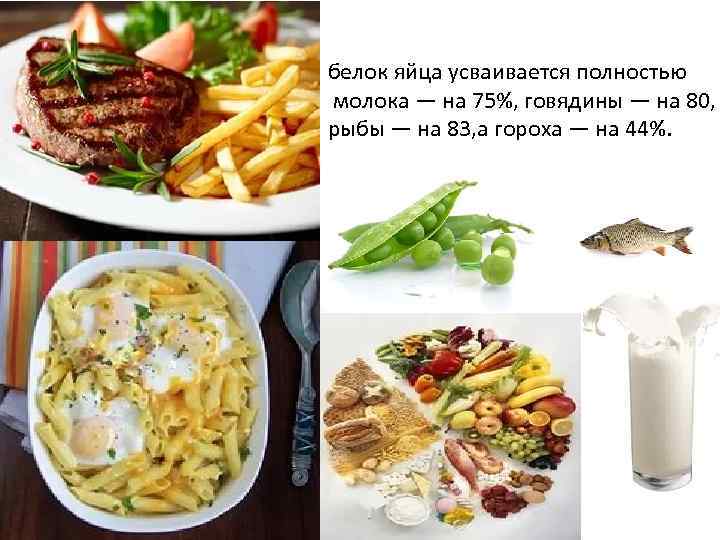 белок яйца усваивается полностью молока — на 75%, говядины — на 80, рыбы —