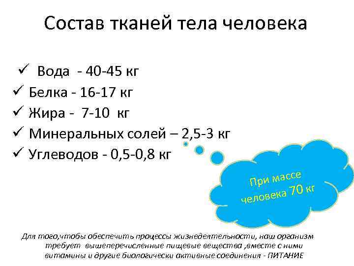 Состав тканей тела человека ü Вода - 40 -45 кг ü Белка - 16