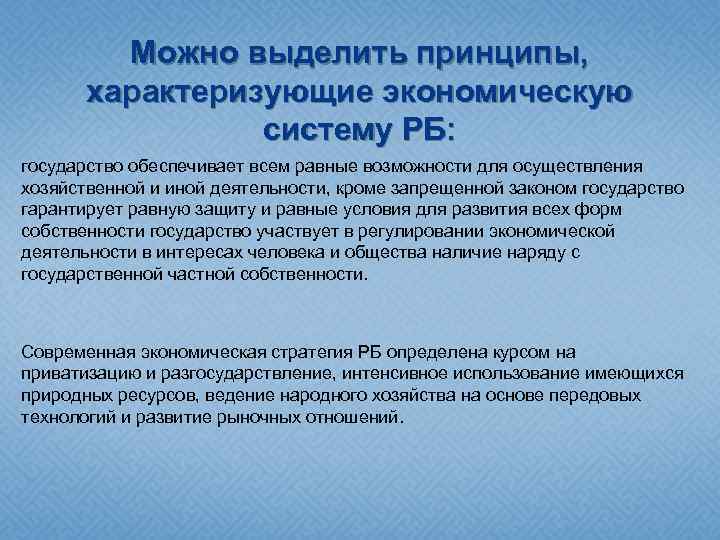 Можно выделить принципы, характеризующие экономическую систему РБ: государство обеспечивает всем равные возможности для осуществления