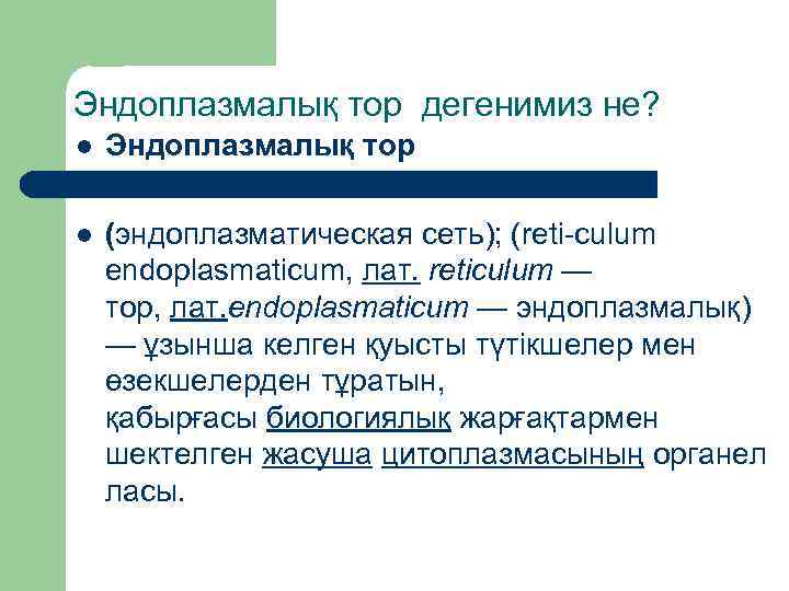 Эндоплазмалық тор дегенимиз не? l Эндоплазмалық тор l (эндоплазматическая сеть); (reti-culum endoplasmaticum, лат. reticulum