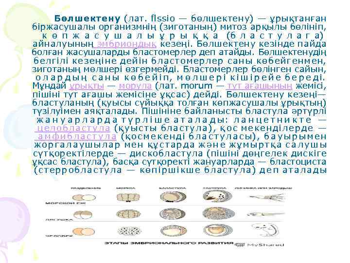  Бөлшектену (лат. flssio — бөлшектену) — ұрықтанған біржасушалы организмнің (зиготаның) митоз арқылы бөлініп,