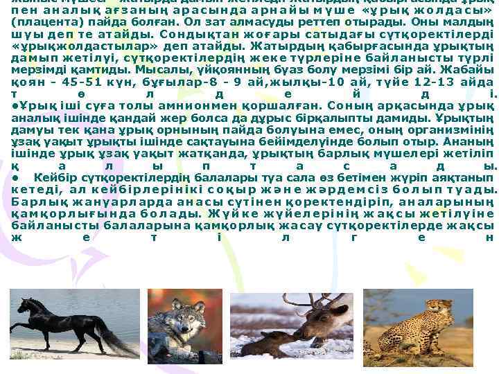 жыныс мүшесі - жатырда дамып жетіледі. Жатырдың қабырғасында ұрық п е н а н