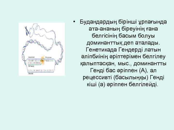  • Будандардың бірінші ұрпағында ата-ананың біреуінің ғана белгісінің басым болуы доминанттық деп аталады.