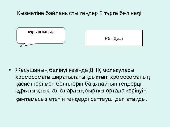  Қызметіне байланысты гендер 2 түрге бөлінеді: құрылымдық Реттеуші • Жасушаның бөлінуі кезінде ДНҚ