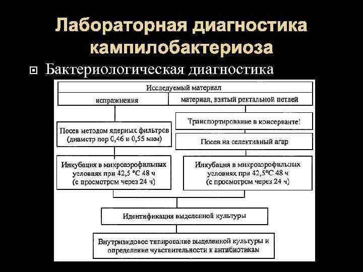 Лабораторная диагностика кампилобактериоза Бактериологическая диагностика 