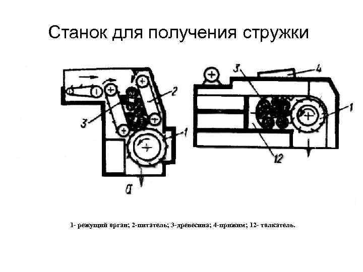 Станок для получения стружки 1 - режущий орган; 2 -питатель; 3 -древесина; 4 -прижим;