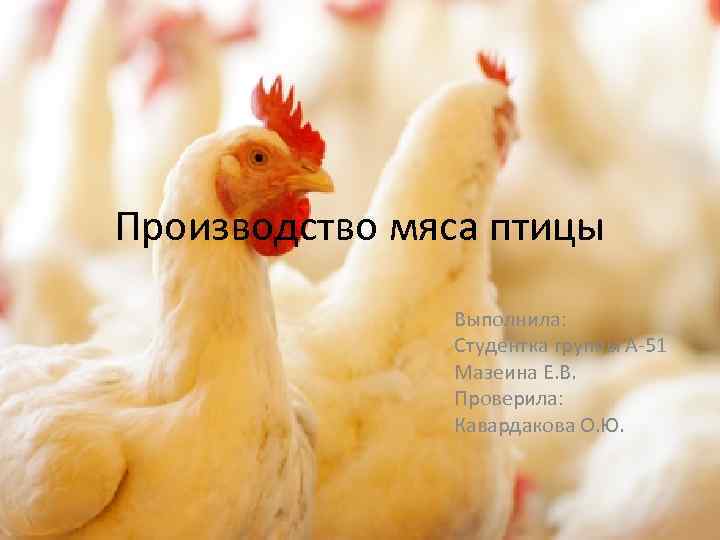 Производство мяса птицы Выполнила: Студентка группы А-51 Мазеина Е. В. Проверила: Кавардакова О. Ю.