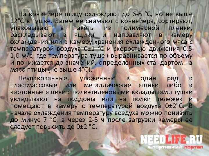 На конвейере птицу охлаждают до 6 -8 °С, но не выше 12°С в тушке.