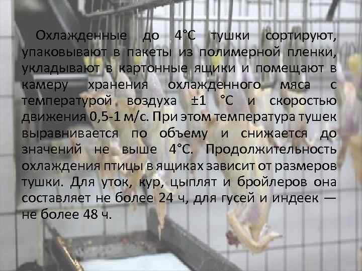 Охлажденные до 4°С тушки сортируют, упаковывают в пакеты из полимерной пленки, укладывают в картонные