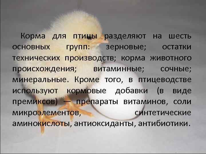 Корма для птицы разделяют на шесть основных групп: зерновые; остатки технических производств; корма животного