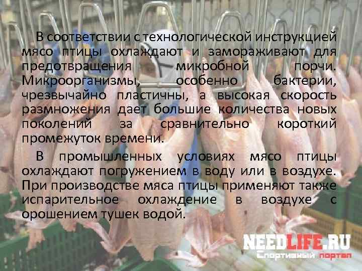 В соответствии с технологической инструкцией мясо птицы охлаждают и замораживают для предотвращения микробной порчи.