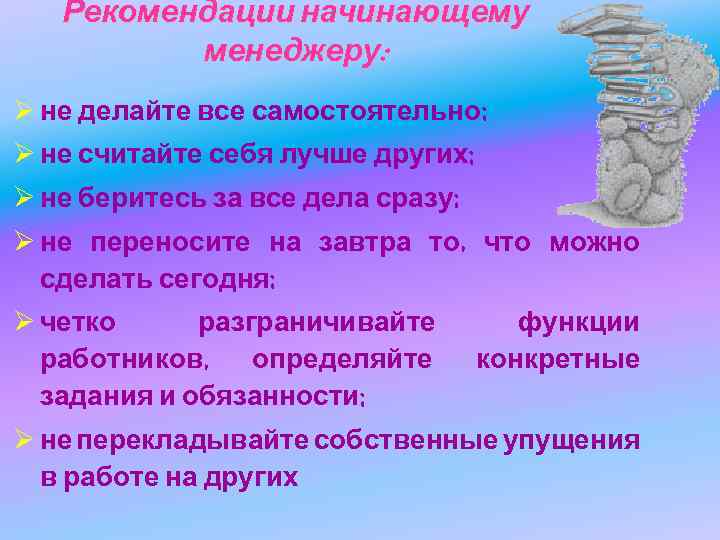 Рекомендации начинающему менеджеру: Ø не делайте все самостоятельно; Ø не считайте себя лучше других;