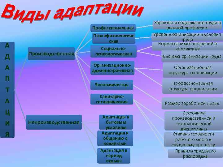 Профессиональная А Д А П Т А Ц И Я Психофизиологиче ская Производственная Социальнопсихологическая