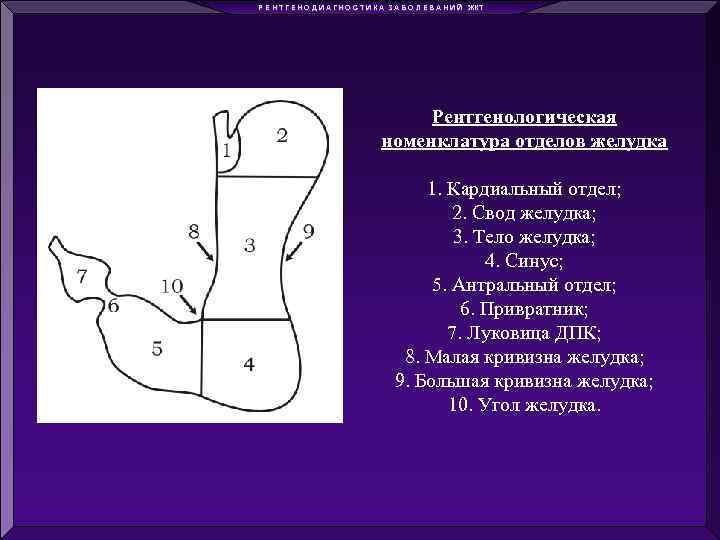 Р Е Н Т Г Е Н О Д И А Г Н О