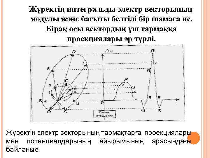 Жүректің интегральды электр векторының модулы және бағыты белгілі бір шамаға ие. Бірақ осы вектордың