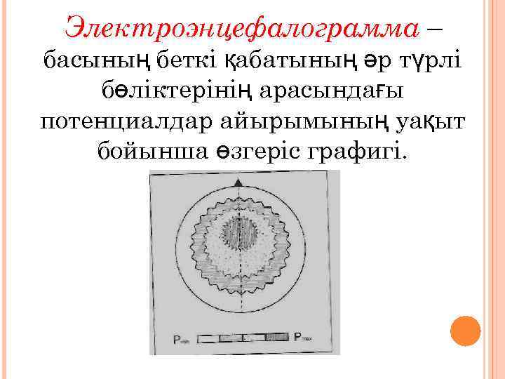 Электроэнцефалограмма – басының беткі қабатының әр түрлі бөліктерінің арасындағы потенциалдар айырымының уақыт бойынша өзгеріс