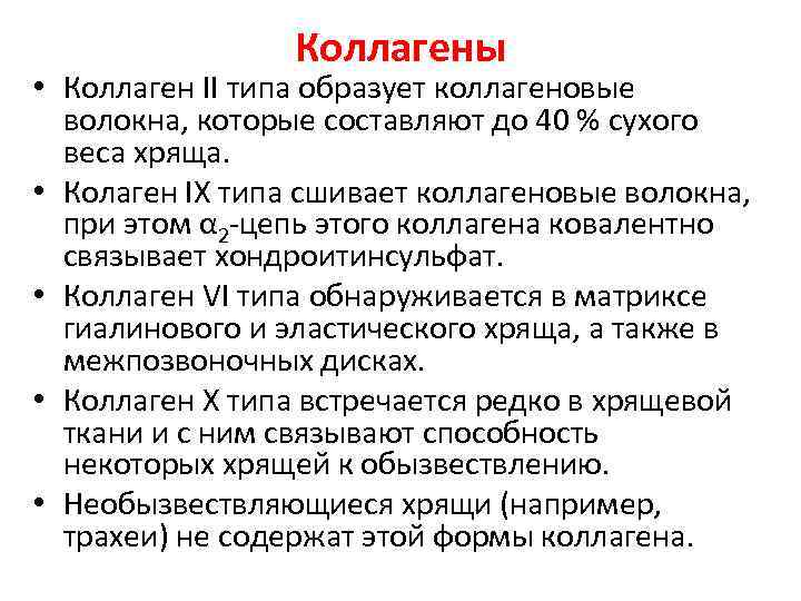 Коллагены • Коллаген II типа образует коллагеновые волокна, которые составляют до 40 % сухого