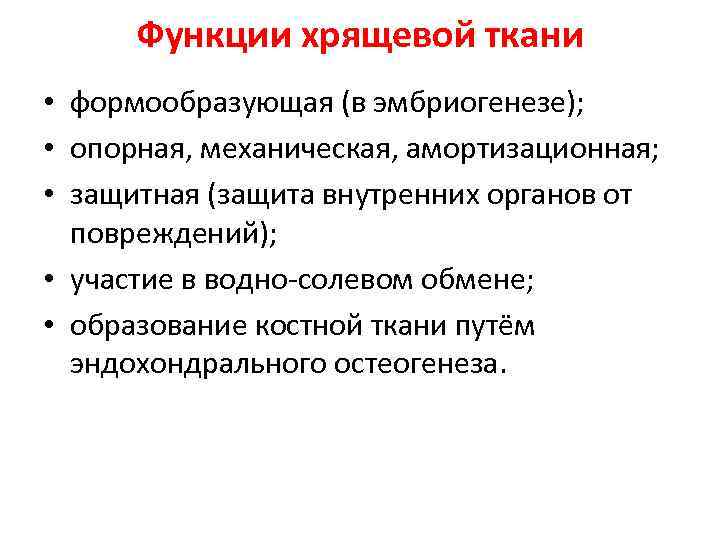 Функции хрящевой ткани • формообразующая (в эмбриогенезе); • опорная, механическая, амортизационная; • защитная (защита