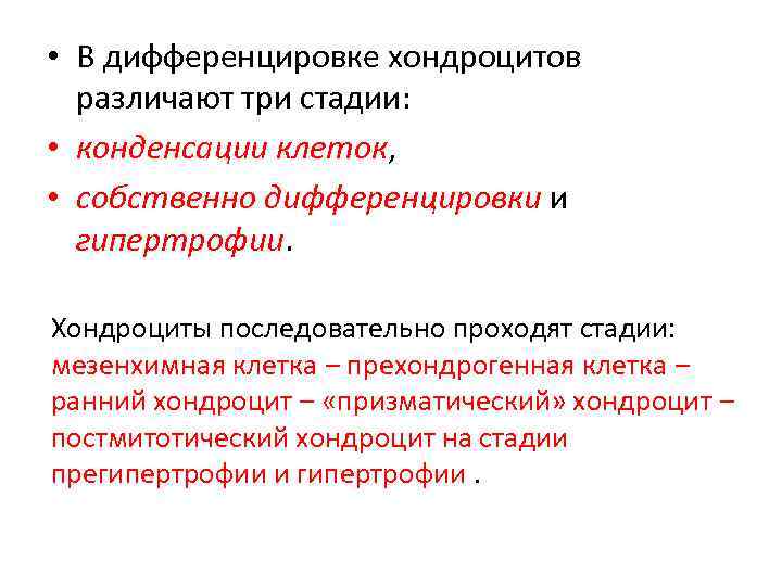  • В дифференцировке хондроцитов различают три стадии: • конденсации клеток, • собственно дифференцировки