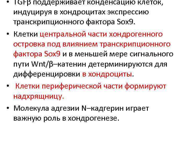  • TGFβ поддерживает конденсацию клеток, индуцируя в хондроцитах экспрессию транскрипционного фактора Sox 9.