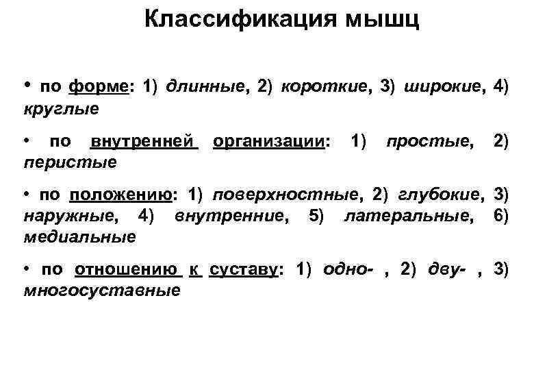 Классификация мышц • по форме: 1) длинные, 2) короткие, 3) широкие, 4) круглые •