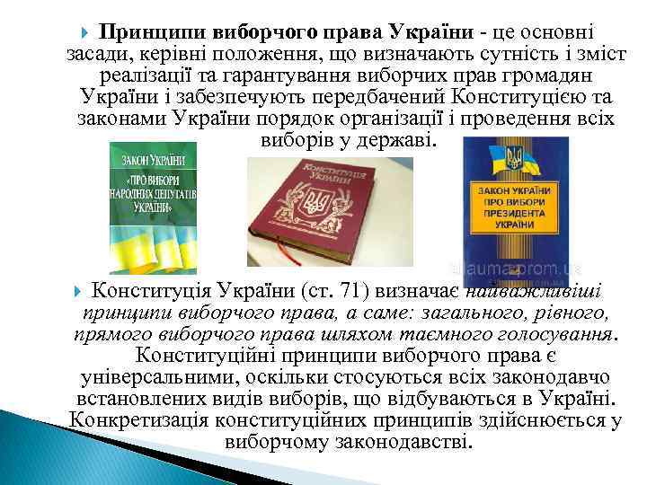 Принципи виборчого права України - це основні засади, керівні положення, що визначають сутність і