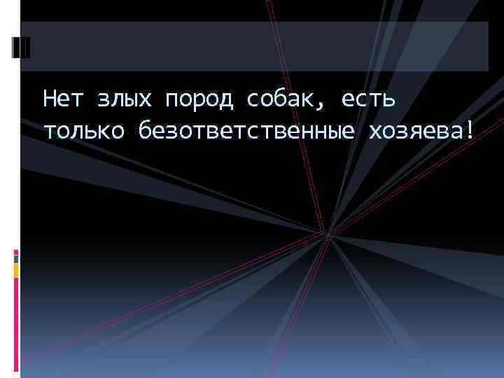 Нет злых пород собак, есть только безответственные хозяева! 